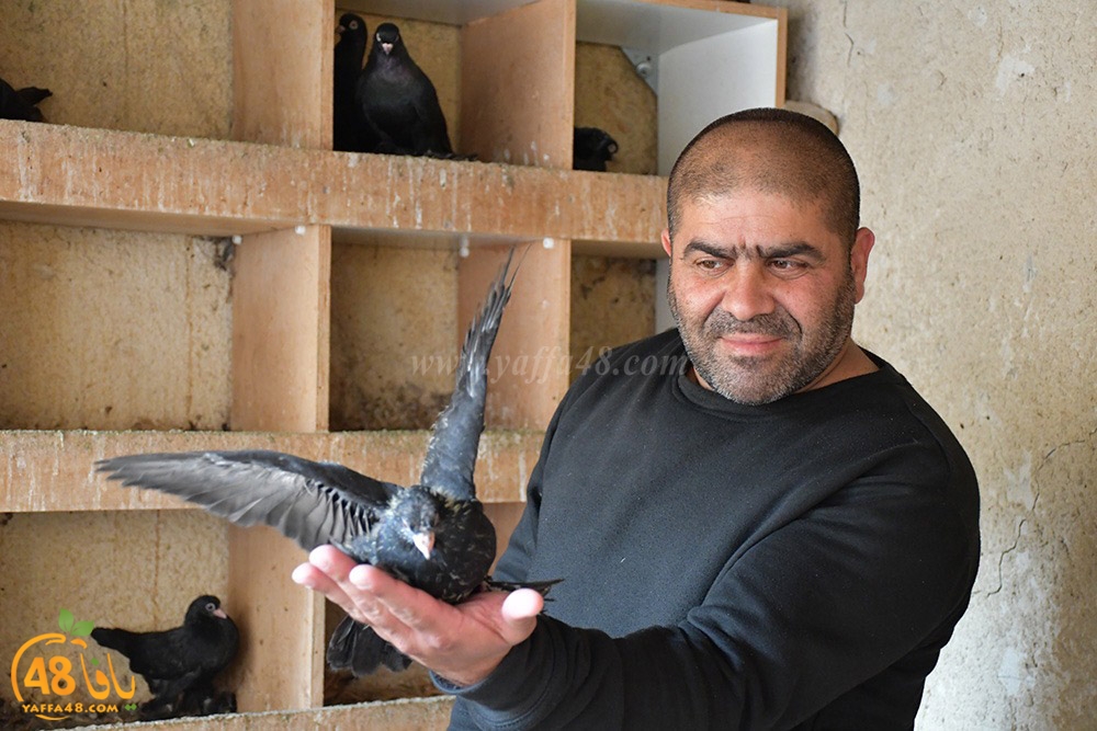 zohdi 3ashoor (49).jpeg